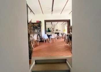 Foto 19 - Rustico Massa Marittima - foto 19