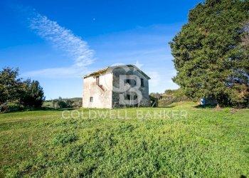 Foto 5 - Rustico Via delle Pietrische
 
6, Bracciano - foto 5