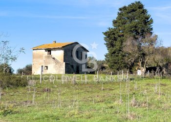 Foto 6 - Rustico Via delle Pietrische
 
6, Bracciano - foto 6