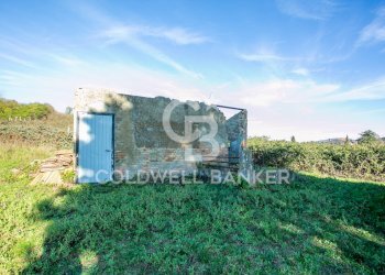 Foto 46 - Rustico Via delle Pietrische
 
6, Bracciano - foto 46