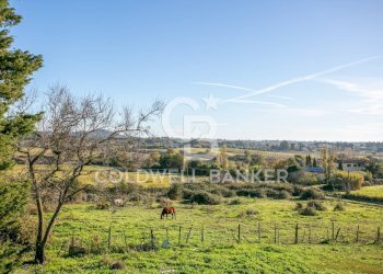 Foto 48 - Rustico Via delle Pietrische
 
6, Bracciano - foto 48