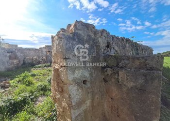 Foto 9 - Rustico Contrada Chianchizzo
 
snc, Ostuni - foto 9