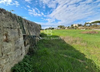 Foto 10 - Rustico Contrada Chianchizzo
 
snc, Ostuni - foto 10