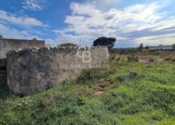 Foto 12 - Rustico Contrada Chianchizzo
 
snc, Ostuni - foto 12