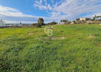 Foto 14 - Rustico Contrada Chianchizzo
 
snc, Ostuni - foto 14