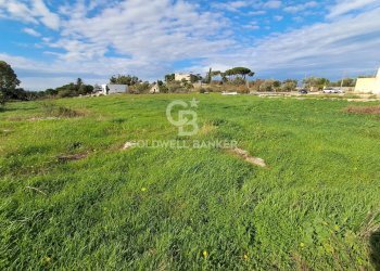 Foto 15 - Rustico Contrada Chianchizzo
 
snc, Ostuni - foto 15