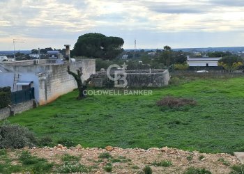 Foto 18 - Rustico Contrada Chianchizzo
 
snc, Ostuni - foto 18