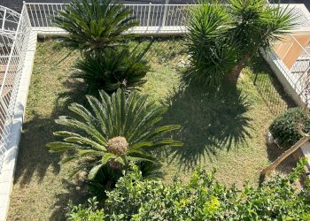 Foto 23 - Villa a Schiera via San Paolo
 
81, Grottammare - foto 23