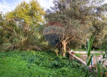 Giardino - Villa contrada san cataldo, Terrasini - foto 28