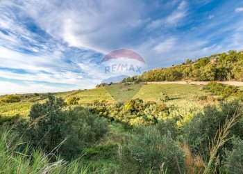 Vista delle montagne - Villa contrada san cataldo, Terrasini - foto 30
