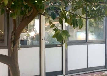 Giardino - Casa indipendente Via Regalotto
 
8, Pedara - foto 42