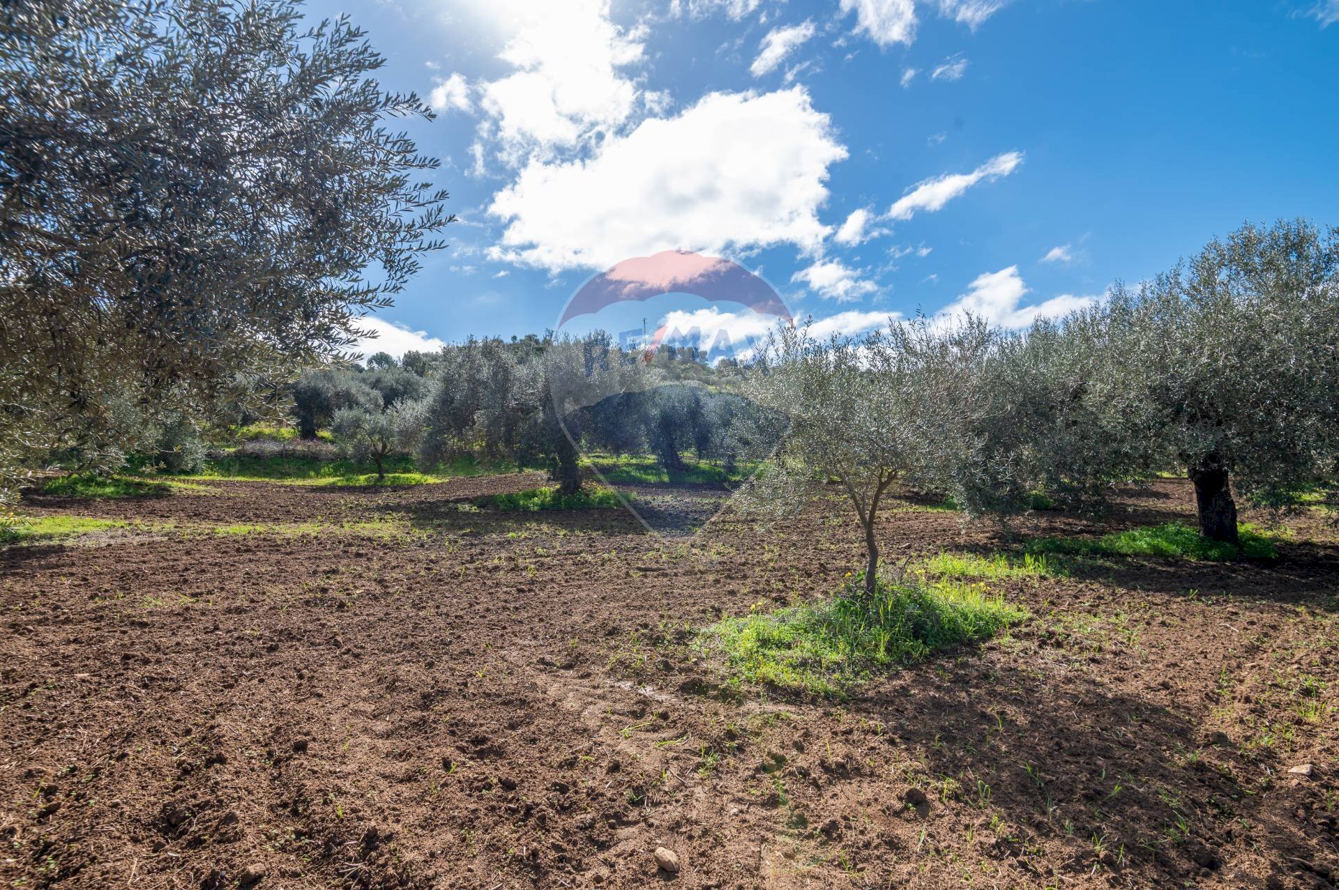Giardino - Agricultural land Via Giambattista Fanales
 
snc, Caltagirone - photo 2