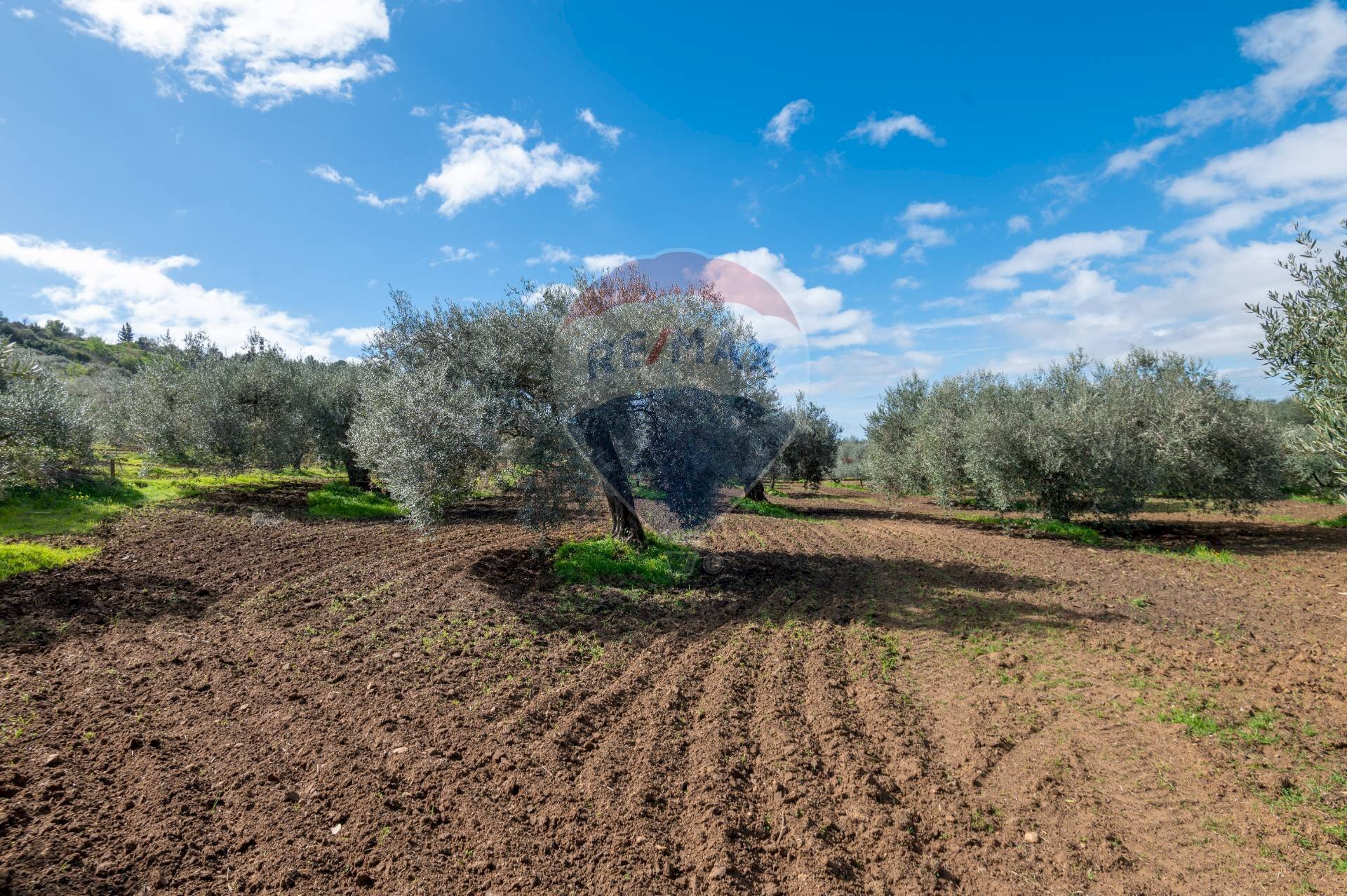 Giardino - Agricultural land Via Giambattista Fanales
 
snc, Caltagirone - photo 3