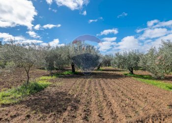 Giardino - Agricultural land Via Giambattista Fanales
 
snc, Caltagirone - photo 1