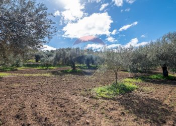 Giardino - Agricultural land Via Giambattista Fanales
 
snc, Caltagirone - photo 2