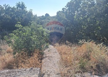 Non correlato - Terreno agricolo Via Papa Giovanni Paolo II
 
65, Belpasso - foto 8