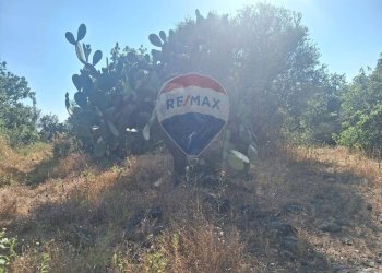 Non correlato - Terreno agricolo Via Papa Giovanni Paolo II
 
65, Belpasso - foto 9