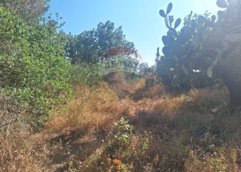 Non correlato - Terreno agricolo Via Papa Giovanni Paolo II
 
65, Belpasso - foto 10