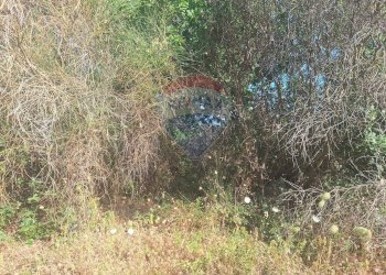 Giardino - Terreno agricolo Via Papa Giovanni Paolo II
 
65, Belpasso - foto 11