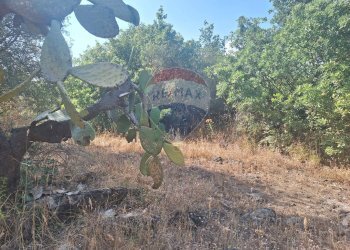 Giardino - Terreno agricolo Via Papa Giovanni Paolo II
 
65, Belpasso - foto 12