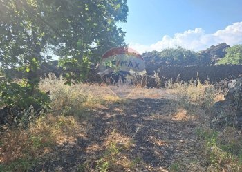Non correlato - Terreno agricolo Via Papa Giovanni Paolo II
 
65, Belpasso - foto 16