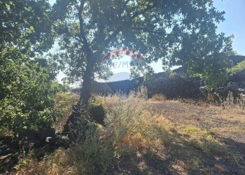 Non correlato - Terreno agricolo Via Papa Giovanni Paolo II
 
65, Belpasso - foto 17