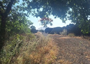 Vista delle montagne - Terreno agricolo Via Papa Giovanni Paolo II
 
65, Belpasso - foto 18