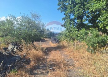 Non correlato - Terreno agricolo Via Papa Giovanni Paolo II
 
65, Belpasso - foto 20