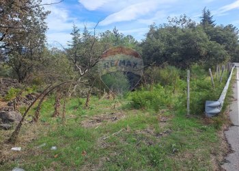 Giardino - Casa indipendente strada regionale mare neve, Linguaglossa - foto 25