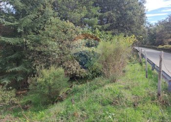 Giardino - Casa indipendente strada regionale mare neve, Linguaglossa - foto 27