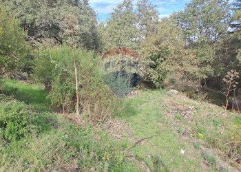 Giardino - Casa indipendente strada regionale mare neve, Linguaglossa - foto 28