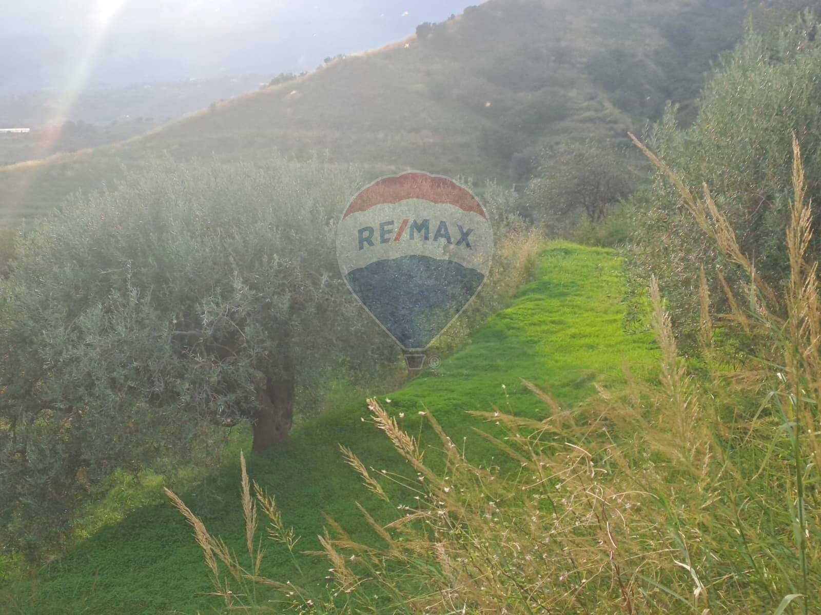 Vista delle montagne - Terreno agricolo via Beatrice Torrente, Calatabiano - foto 2
