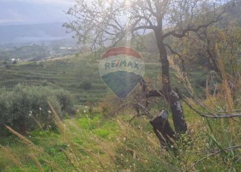 Vista delle montagne - Terreno agricolo via Beatrice Torrente, Calatabiano - foto 8