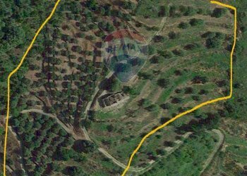 Posizione della mappa - Terreno agricolo via Beatrice Torrente, Calatabiano - foto 9