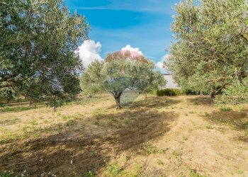 Giardino - Villa contrada torre di pietra, Piazza Armerina - foto 29