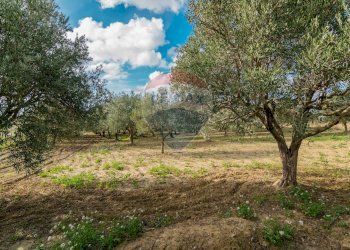 Giardino - Villa contrada torre di pietra, Piazza Armerina - foto 30