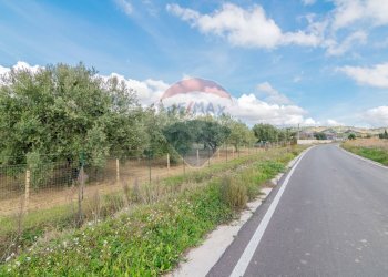Giardino - Villa contrada torre di pietra, Piazza Armerina - foto 39