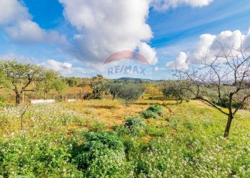 Vista delle montagne - Villa contrada rasalgone, Piazza Armerina - foto 23