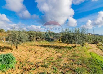Giardino - Villa contrada rasalgone, Piazza Armerina - foto 25