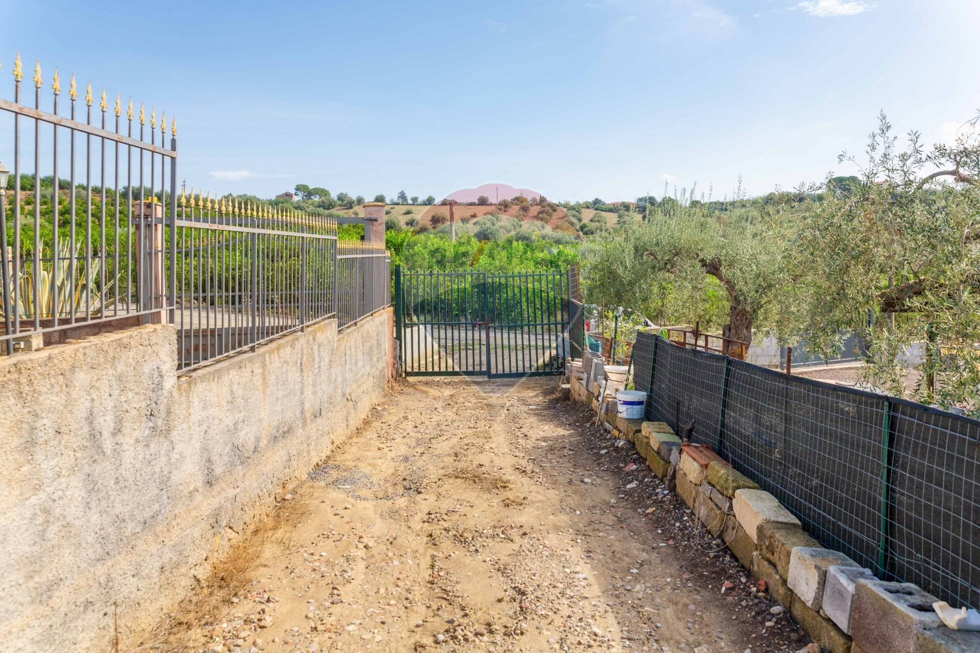 Giardino - Terreno agricolo Contrada camolio
 
snc, Motta Sant'Anastasia - foto 3
