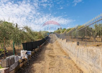 Vista delle montagne - Terreno agricolo Contrada camolio
snc, Motta Sant'Anastasia - foto 2