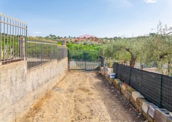 Giardino - Terreno agricolo Contrada camolio
snc, Motta Sant'Anastasia - foto 3