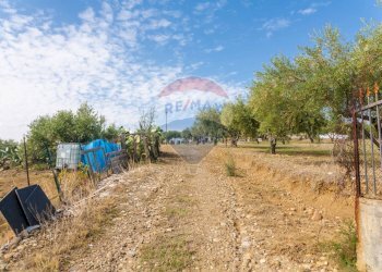 Giardino - Terreno agricolo Contrada camolio
snc, Motta Sant'Anastasia - foto 4