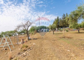 Giardino - Terreno agricolo Contrada camolio
snc, Motta Sant'Anastasia - foto 5