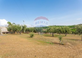 Giardino - Terreno agricolo Contrada camolio
snc, Motta Sant'Anastasia - foto 7