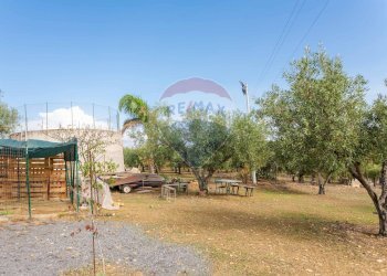 Giardino - Terreno agricolo Contrada camolio
snc, Motta Sant'Anastasia - foto 10