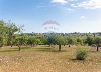 Giardino - Terreno agricolo Contrada camolio
snc, Motta Sant'Anastasia - foto 11