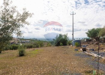 Giardino - Terreno agricolo Contrada camolio
snc, Motta Sant'Anastasia - foto 13