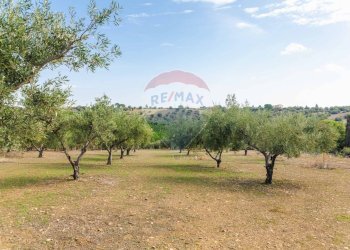 Giardino - Terreno agricolo Contrada camolio
snc, Motta Sant'Anastasia - foto 14