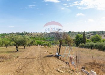Giardino - Terreno agricolo Contrada camolio
snc, Motta Sant'Anastasia - foto 16